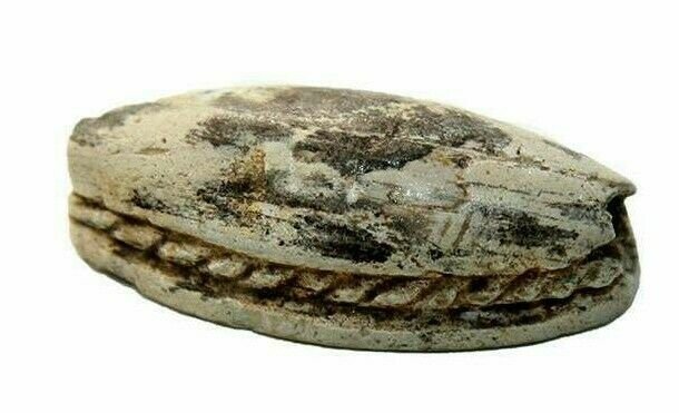 Ancient Egyptian Steatite Scarab Middle Kingdom: Ancient Egyptian Steatite Scarab Middle Kingdom c.2040-1550 BC. Size 17 x 8 mm. Fine Steatite stone scarab. the back with formulaic inscription. Provenance: Ex Harlen Berk Chicago USA.
