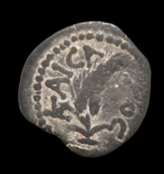 JUDAEA, Procurators. M. Ambibulus. 9-12 CE. Ã† Prutah: JUDAEA, Procurators. M. Ambibulus. 9-12 CE. Ã† Prutah (16mm, 2.07 g). In the name of the Roman emperor Caesar (Augustus). Jerusalem mint. Dated RY 39 of Augustus (8/9 CE). Grain ear / Palm tree; da