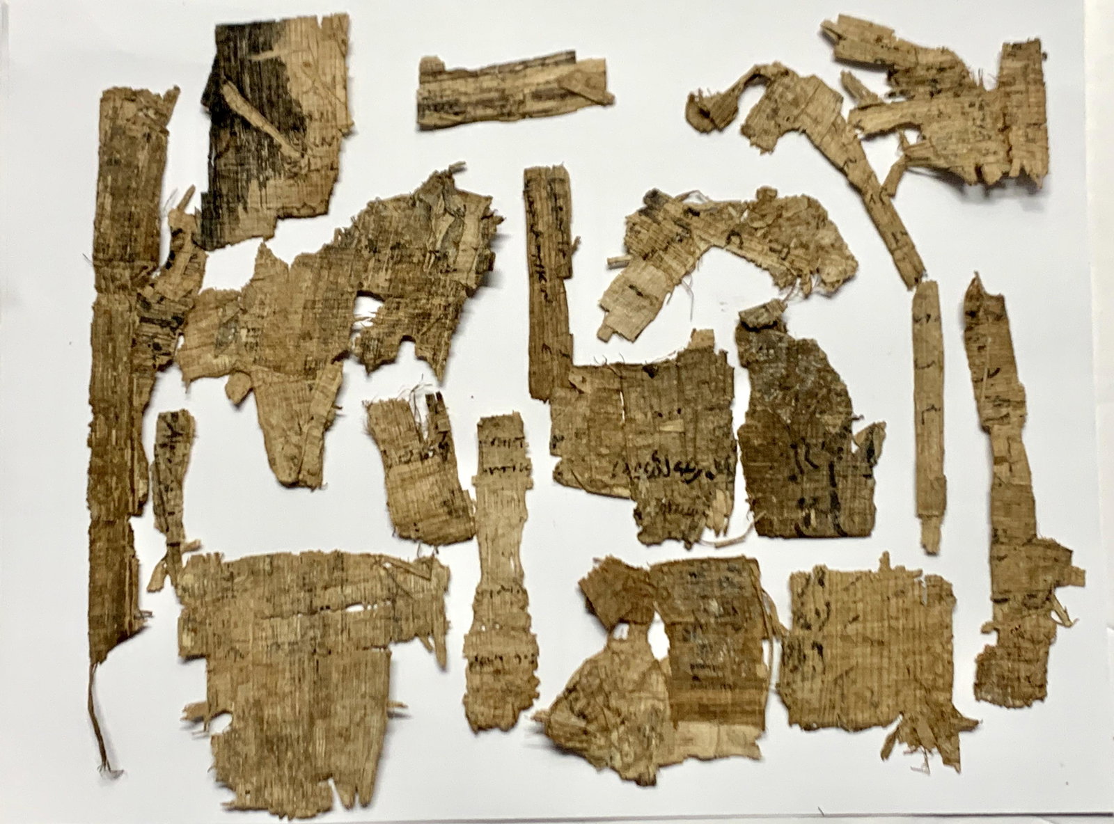 Lot of Ancient Egyptian Papyrus Fragments. (1 of 3)