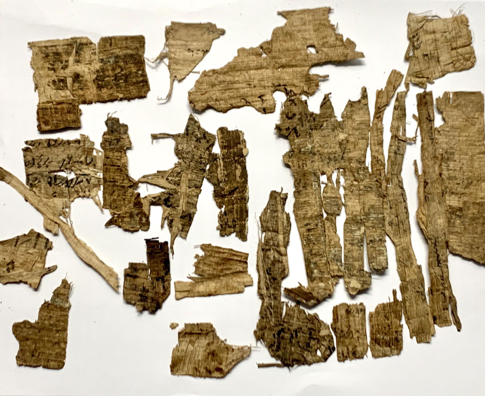 Lot of Ancient Egyptian Papyrus Fragments. (1 of 3)
