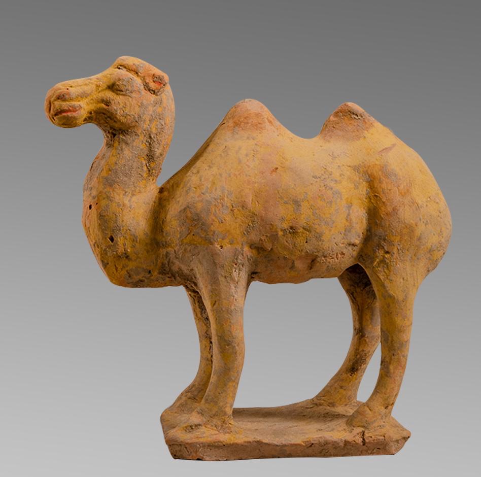 Chinese Tang Dynasty Clay Figure of a Camel c.7th-9th (1 of 2)