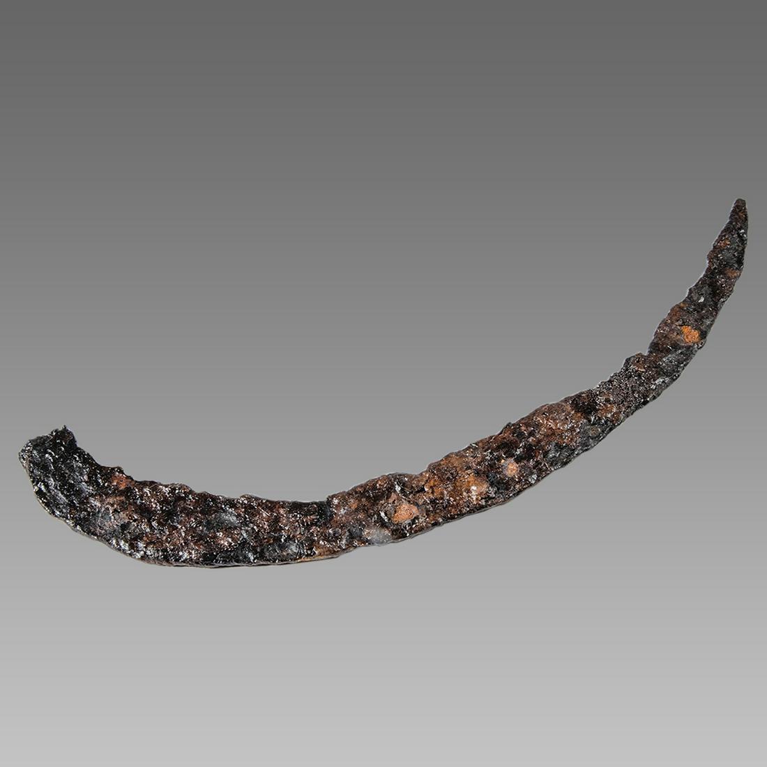 England, Iron Sickle c.16th-18th centry AD. (1 of 1)