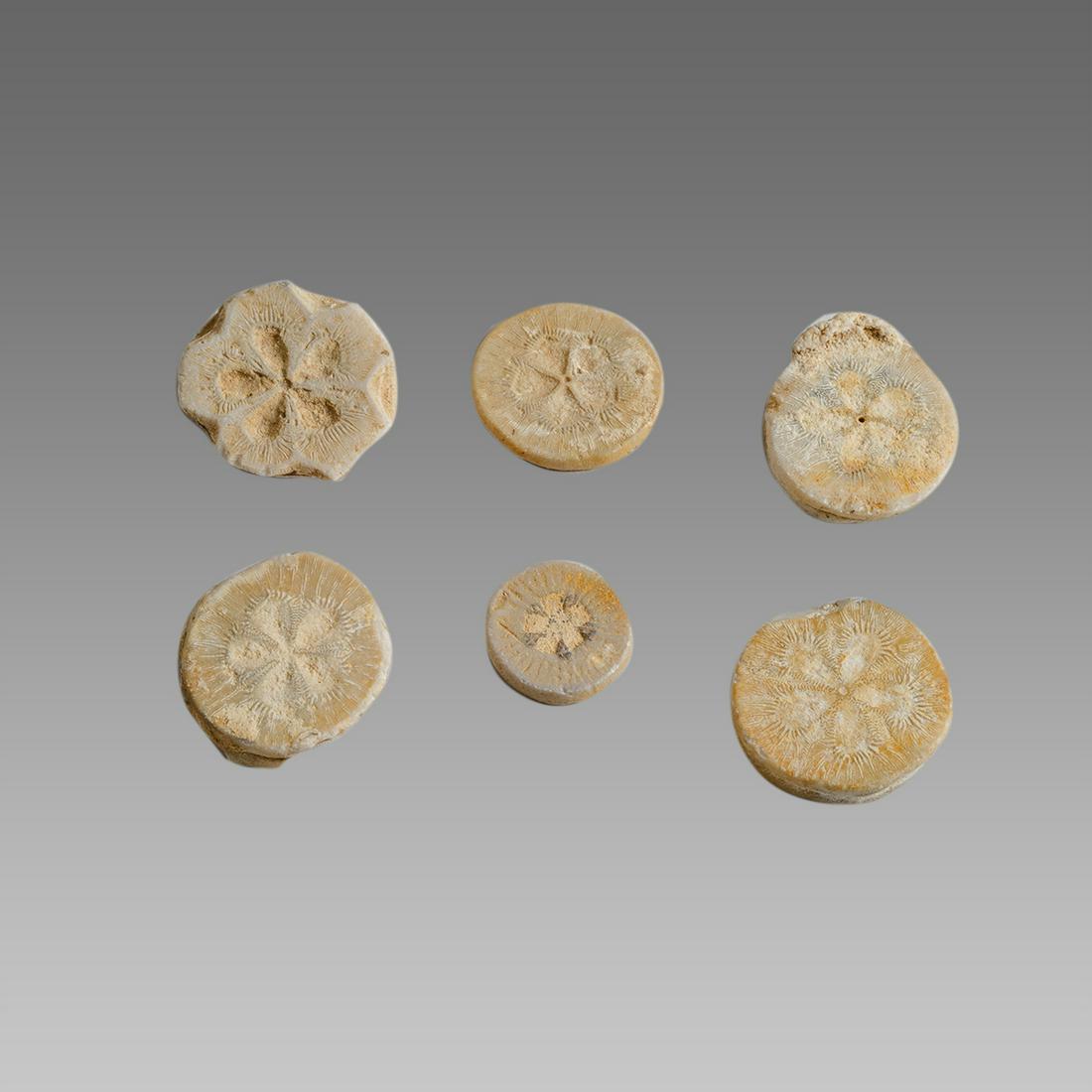 Lot of 6 Ancient Limestone Theatre Tokens c.2nd century (1 of 1)