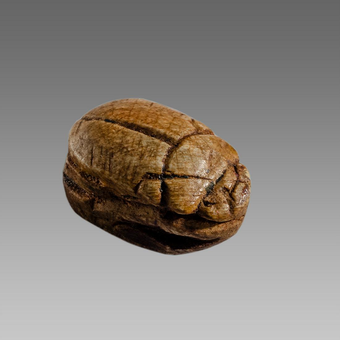Ancient Egyptian Steatite stone Scarab c.1500-1100 BCE.: Ancient Egyptian Steatite stone Scarab c.1500-1100 BCE. Size 15 x 10 mm. Glazed steatite scarab New Kingdom with stealized beatle back. Provenance: Ex Secret Eyes Gallery New York 1970's-1980's.
