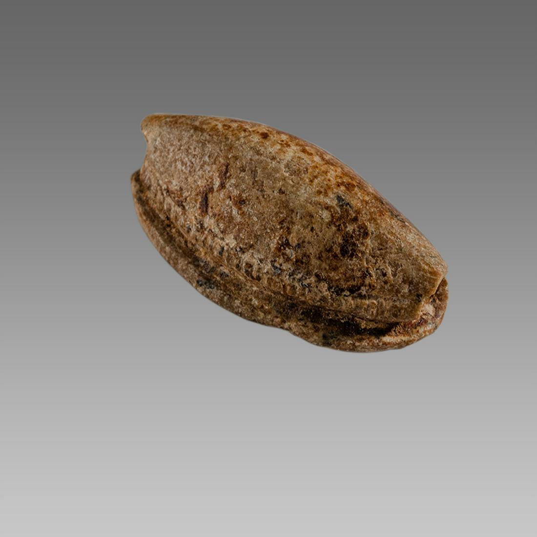 Ancient Egyptian Steatite stone Scarab c.1500-1100 BCE.: Ancient Egyptian Steatite stone Scarab c.1500-1100 BCE. Size 17 x 9 mm. Glazed steatite scarab New Kingdom with stealized beatle back. Provenance: Ex Secret Eyes Gallery New York 1970's-1980's.