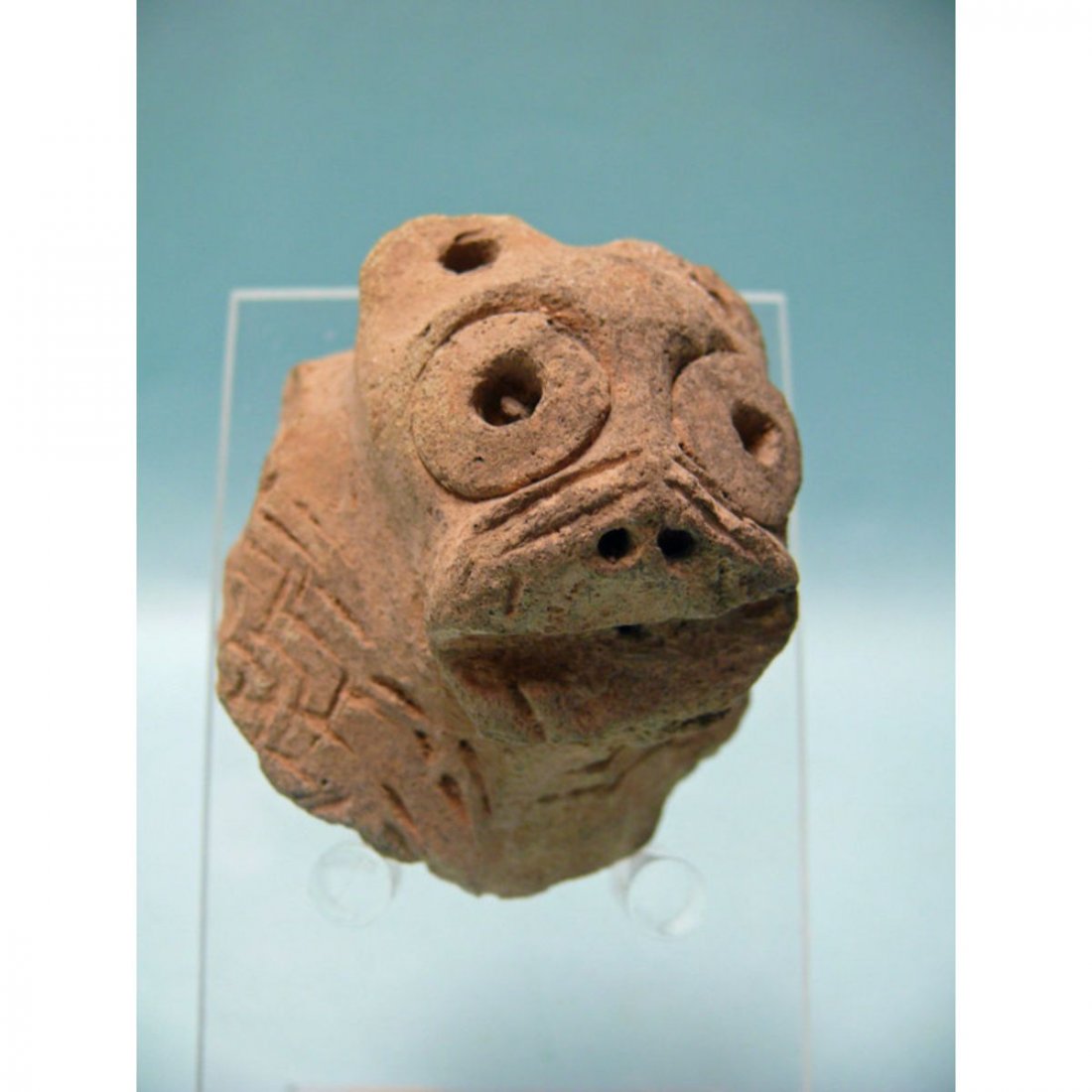 Ancient Holy Land canaanite Bull Head c.1400 BC. (1 of 1)