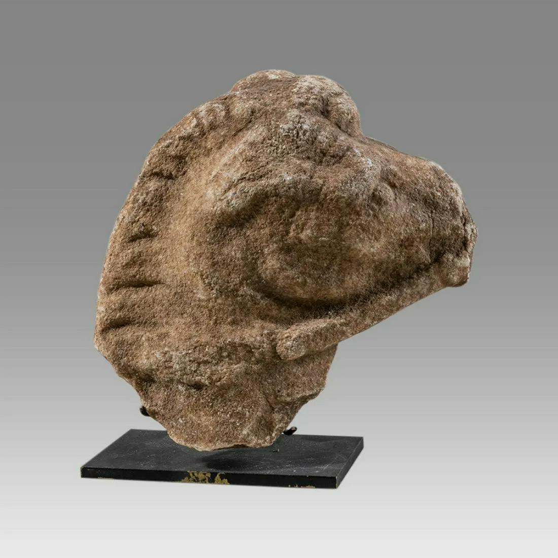 Ancient Roman Marble Horse Head Fragment Ca. 1st-2nd century A.D. (1 of 4)
