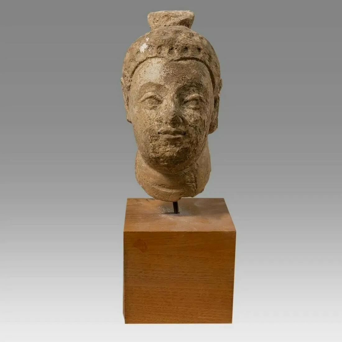 Ancient Gandharan Stucco Buddha Head Fragment Ca. 2nd to 4th century A.D. (1 of 3)