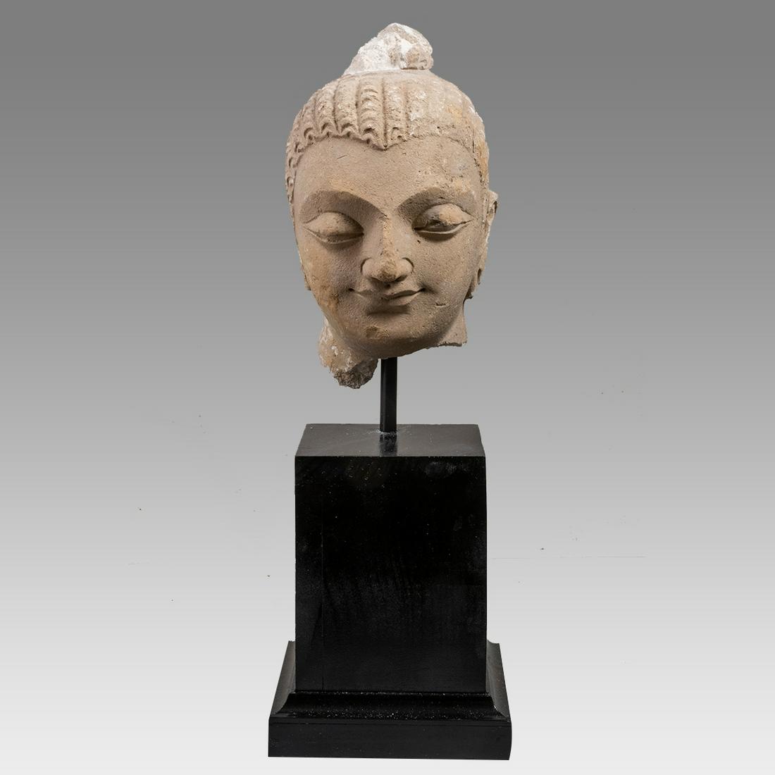 Ancient Gandharan Stucco Buddha Head Ca. 2nd to 4th century A.D. (1 of 4)
