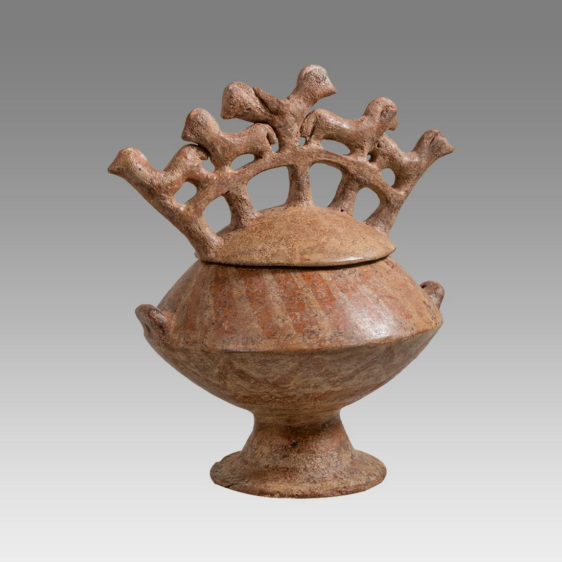 Etruscan Impastoware Lidded Stamnos c.6th century BC. (1 of 3)