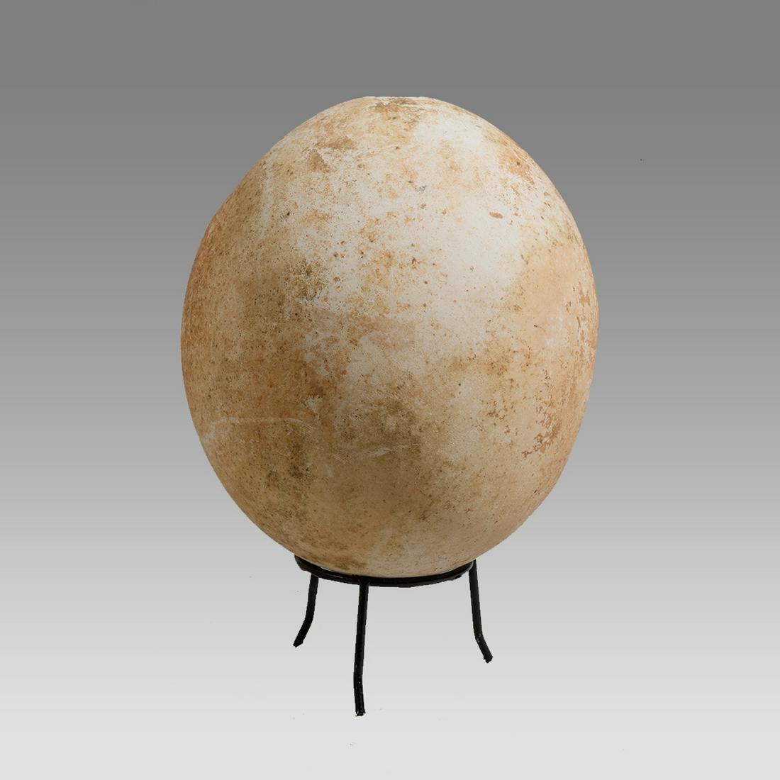Ancient Holy land Early Bronze Age Ostrich Egg Vessel, circa 2700-2100 BC. (1 of 3)