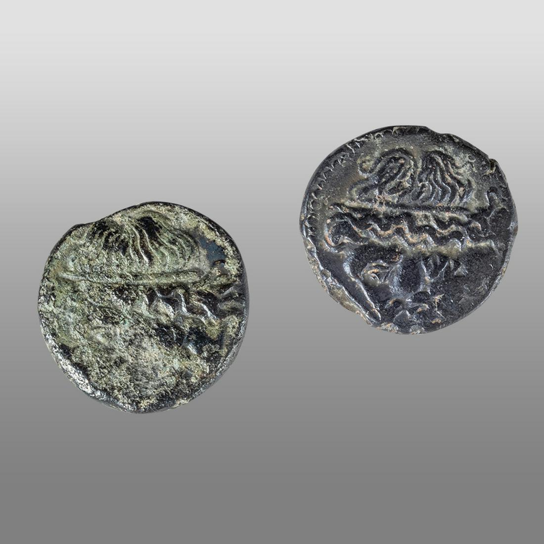 ANCIENT LOT of 2. Greek. Sicily. Syracuse. Hieron II (ca. 275-215 BC). AE litra. (1 of 2)