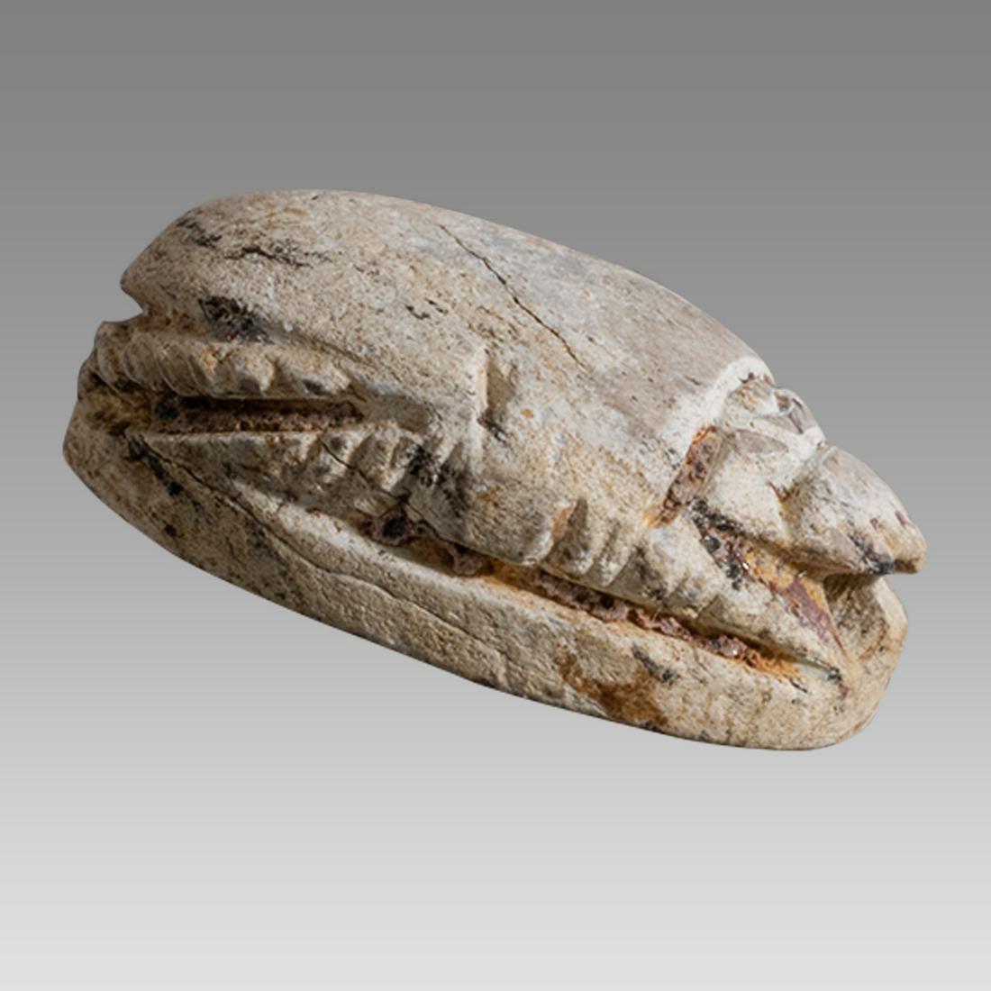Ancient Egyptian Steatite stone Scarab c.1650-1100 BCE.: Ancient Egyptian Steatite stone Scarab c.1650-1100 BCE. Size 18 x 13 mm. Glazed steatite scarab. with stealized beatle back. Provenance: Ex Private California Collection acquired in the USA market