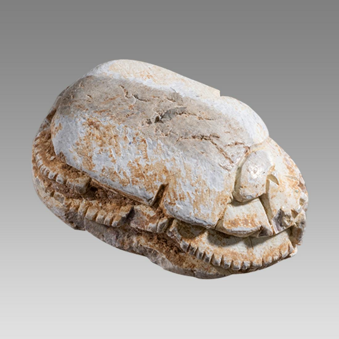 Ancient Egyptian Steatite stone Scarab Hyksos c.1650-1550 BCE.: Ancient Egyptian Steatite stone Scarab Hyksos c.1650-1550 BCE. Size 19 x 13 mm. Glazed steatite scarab Hyksos period. with stealized beatle back. Provenance: Ex Secret Eyes Gallery New York 1970's-198