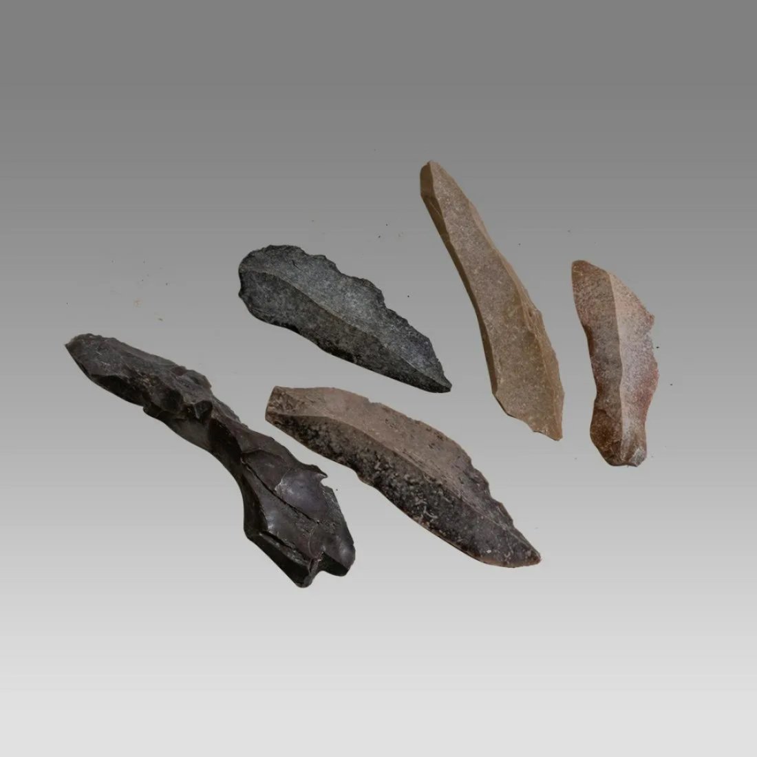 Lot of five (5) Upper Paleolithic/Epipaleolithic blades on flint flakes from the Sahara. (1 of 1)