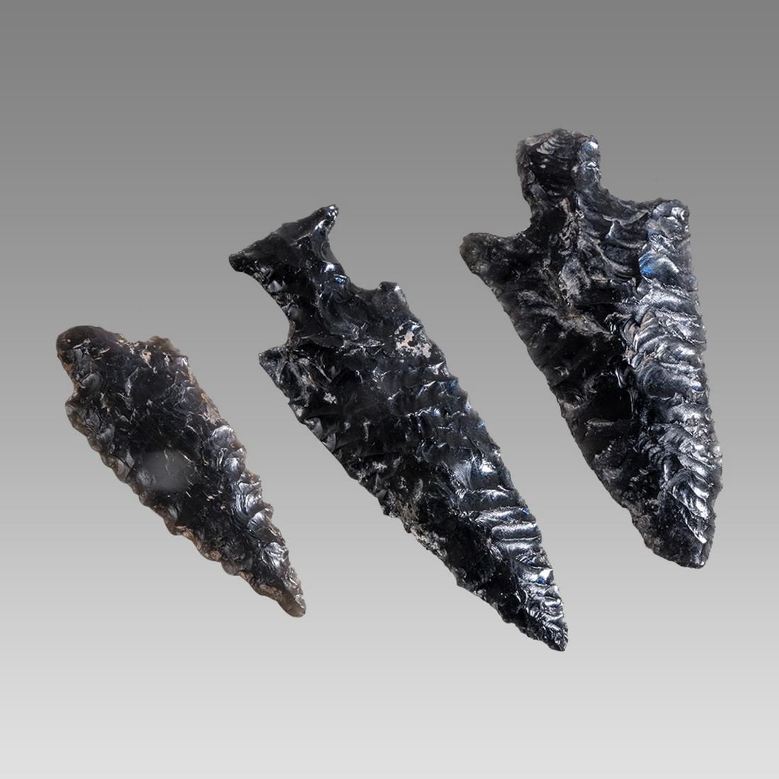 Three Mayan Obsidian Arrow or Dart Points Ca. 600-800 A.D. (1 of 2)