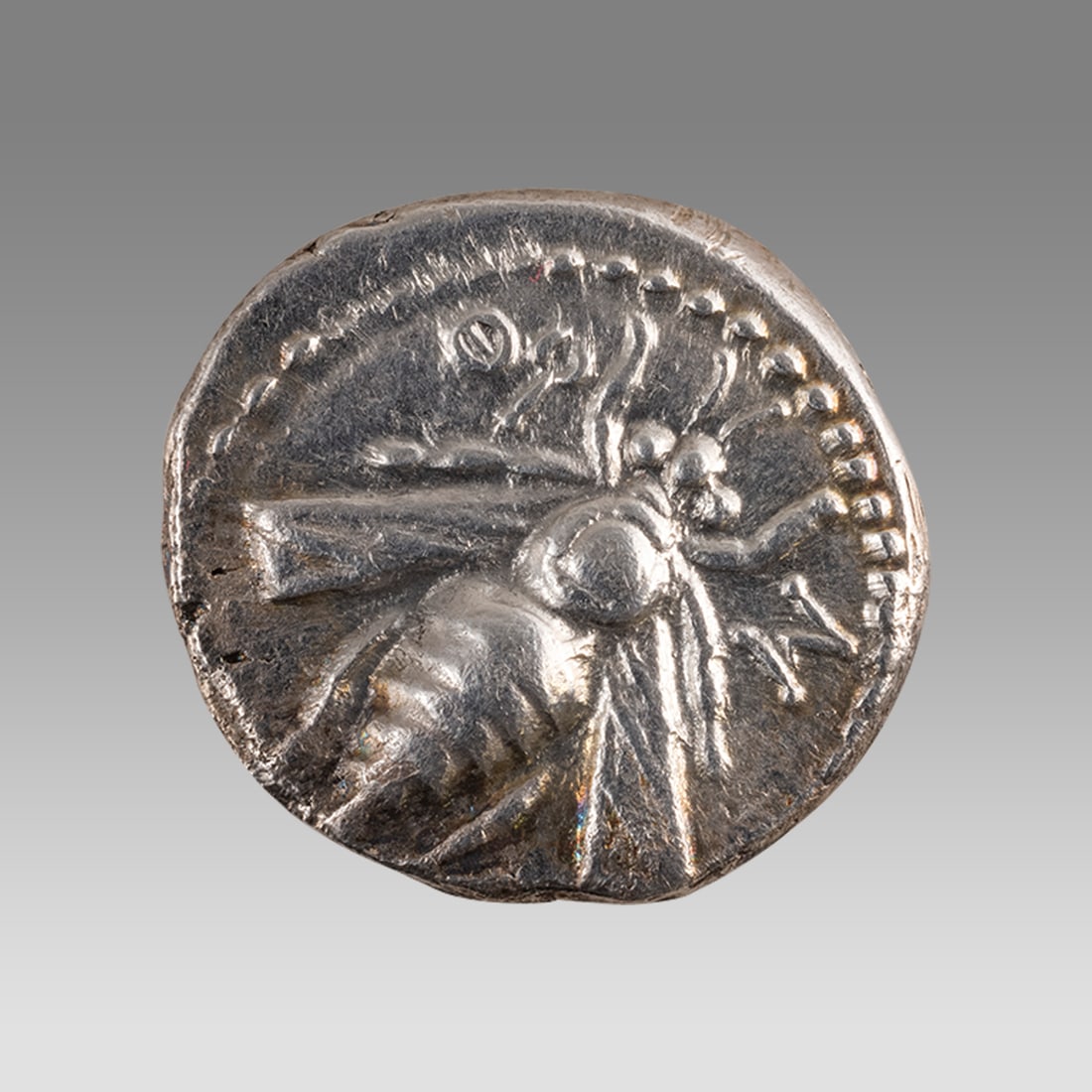 Ancient PHOENICIA, Arados. Circa 172/1-111/0 BC. Silver Drachm: Ancient PHOENICIA, Arados. Circa 172/1-111/0 BC. Silver Drachm (17mm, 4.06 g, 12h). Dated. Bee; date to left, RE monogram to right / Stag standing right; palm tree in background. HGC 10, 63; DCA 774. 