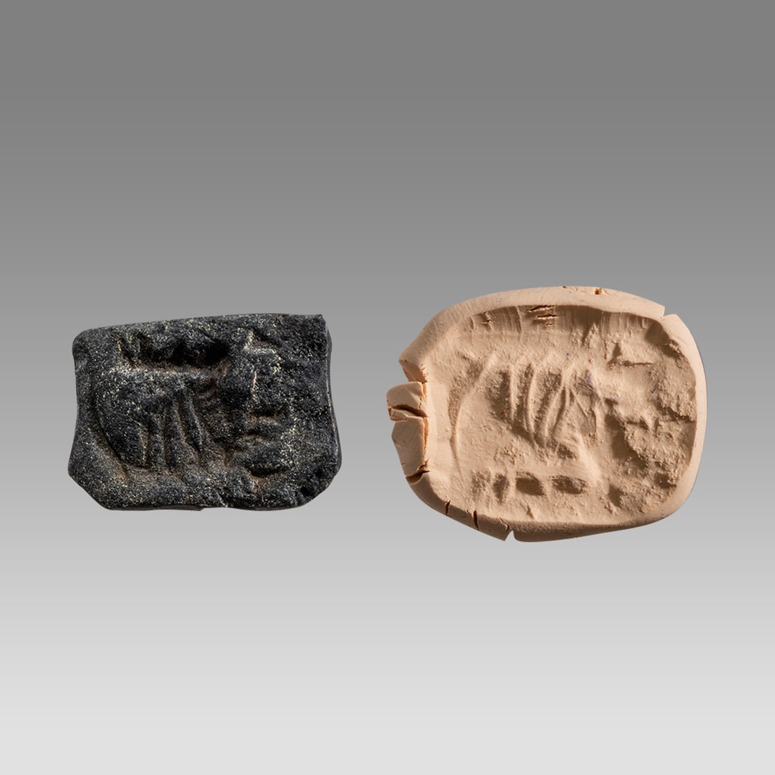 Ancient Near East, Gabel Stone Seal with Winged Griffin, 3500-3000BC, (1 of 1)