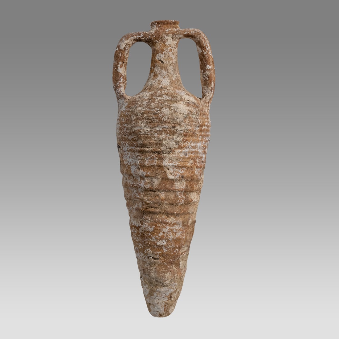 Ancient Roman Sea Salvage Wine Amphora Ca. 1st - 2nd century A.D.: Ancient Roman Sea Salvage Wine Amphora Ca. 1st - 2nd century A.D. Size 23 inches High. x 8 inches Wide. Large Roman Terracotta Transportation wine amphora with twin handles, Sea shells and deposit on 
