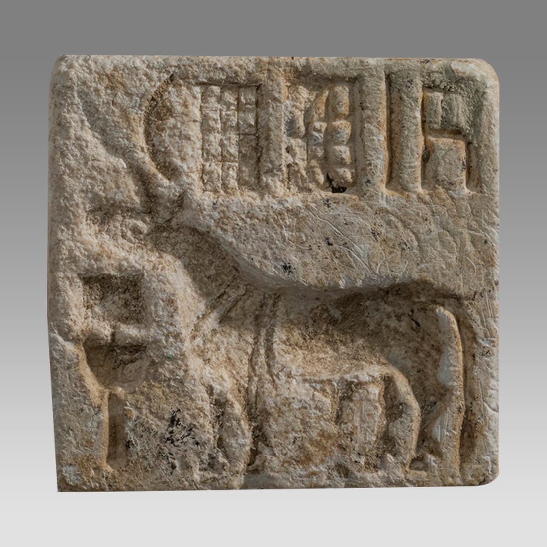 Ancient INDUS VALLEY/HARAPPAN SEATITE STAMP SEAL Ca. 3rd Millenium BC. (1 of 2)