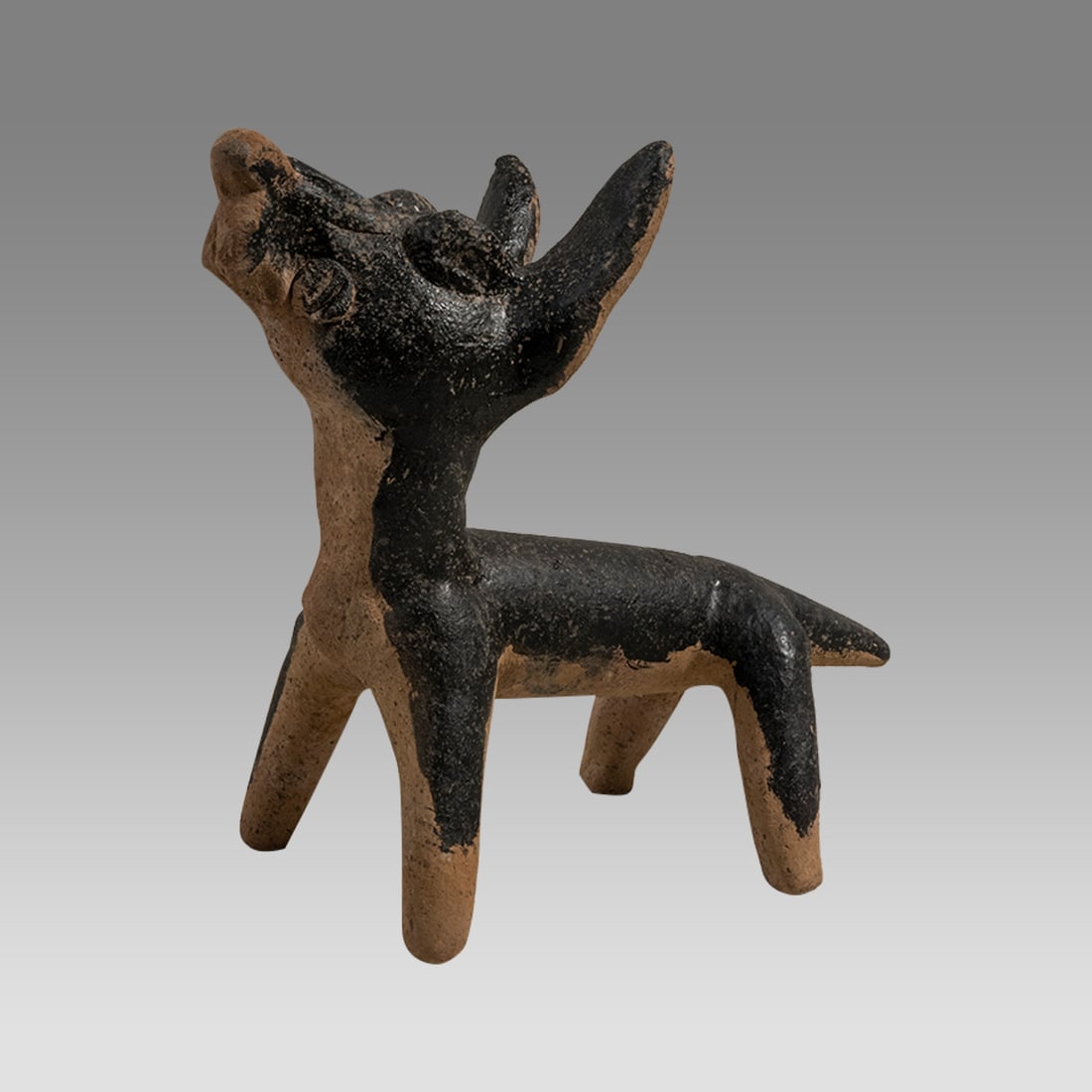 Veracruz Pottery Coyote Veracruz, Mexico Ca. 600 - 900 A.D. (1 of 3)