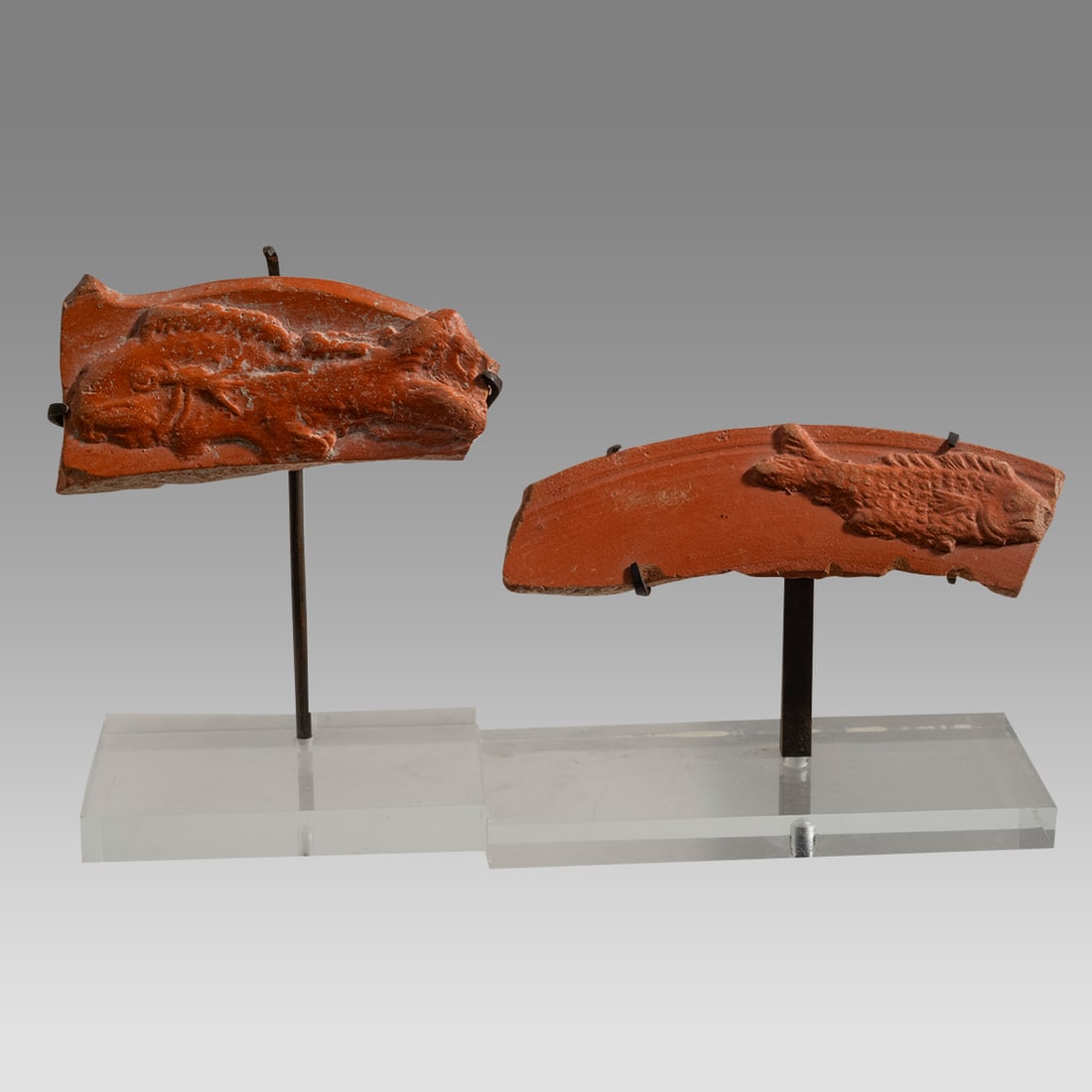 Lot of 2 Ancient Roman North African Redware Fragments with Fish c.2nd century AD. (1 of 2)