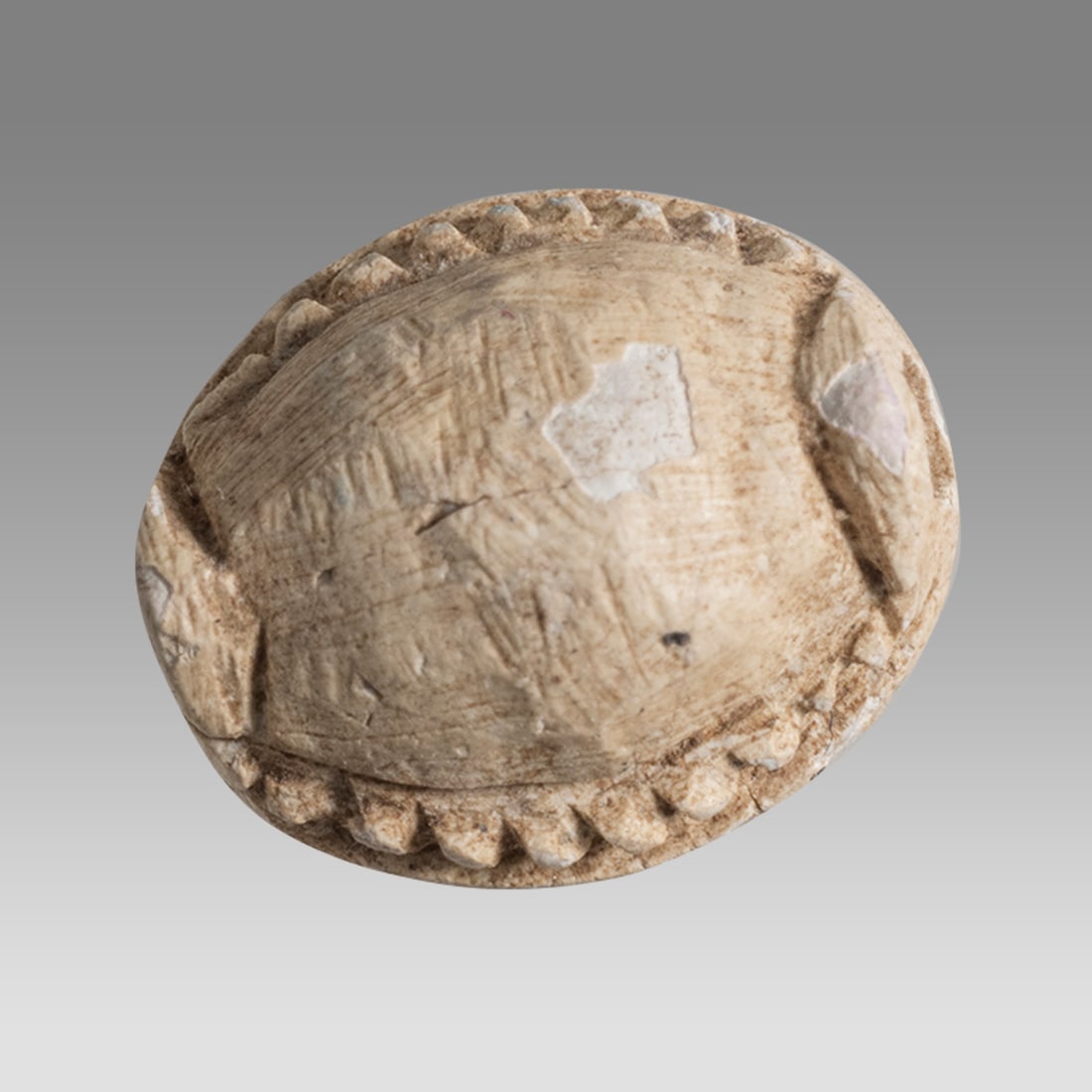 Ancient Egypt, New Kingdom Small Scarab With pattern c.1550-1050 BC.: Ancient Egypt, New Kingdom Small Scarab With pattern c.1550-1050 BC. Size 11 x 9 mm. Steatite button scarab with geometric pattern. Provenance: From A Private St Louis, MO Doctor collection, acquired 