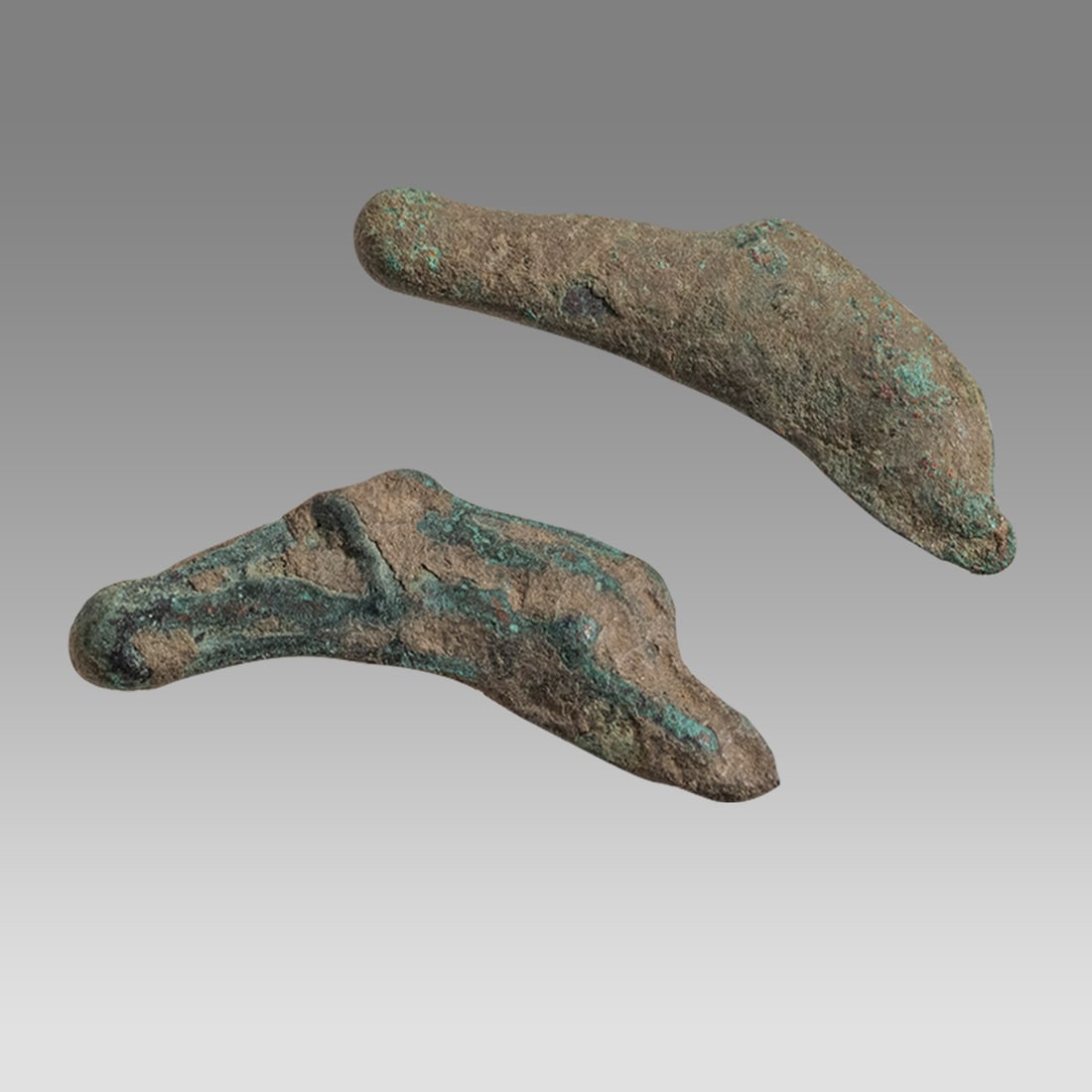 Lot of 2 Ancient Greek Olbia Bronze Dolphin Unit, coins (400-350 BC) (1 of 1)