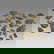 item-206061091=1
