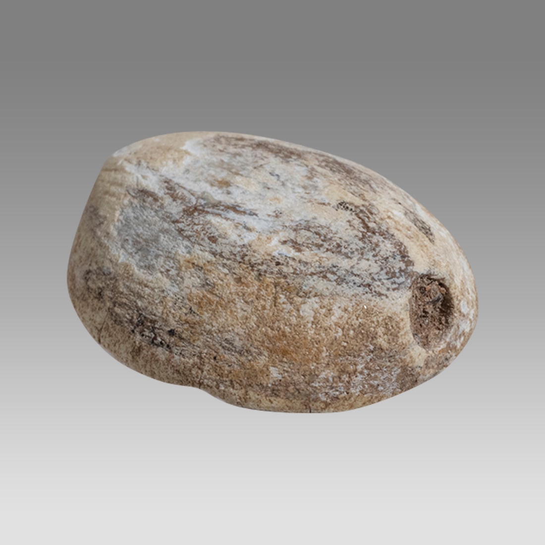 Ancient Egyptian Steatite Stone Button Scarab, New Kingdom c.1550-1077 BC.: Ancient Egyptian Steatite Stone Button Scarab, New Kingdom c.1550-1077 BC. Size 14 x 12 mm. Carved hard steatite stone button scarab carved with scroll design at back. suspension hole through. Provena