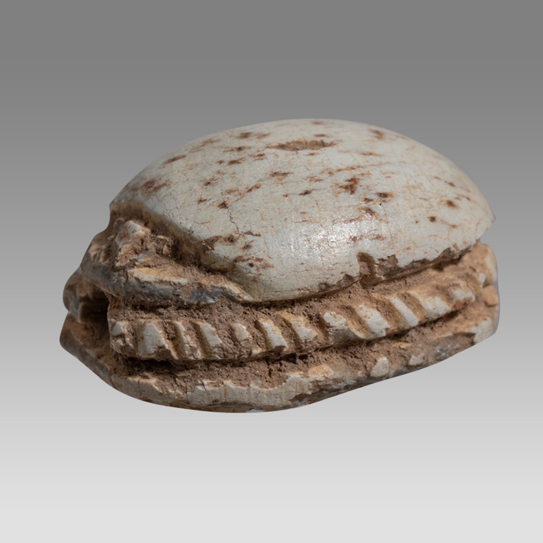 Ancient Egyptian Steatite stone Scarab c.1500-1100 BCE.: Ancient Egyptian Steatite stone Scarab c.1500-1100 BCE. Size 16 x 12 mm. Glazed steatite scarab New Kingdom with stealized beatle back. Provenance: Private collection, bought in Grays Market, previous