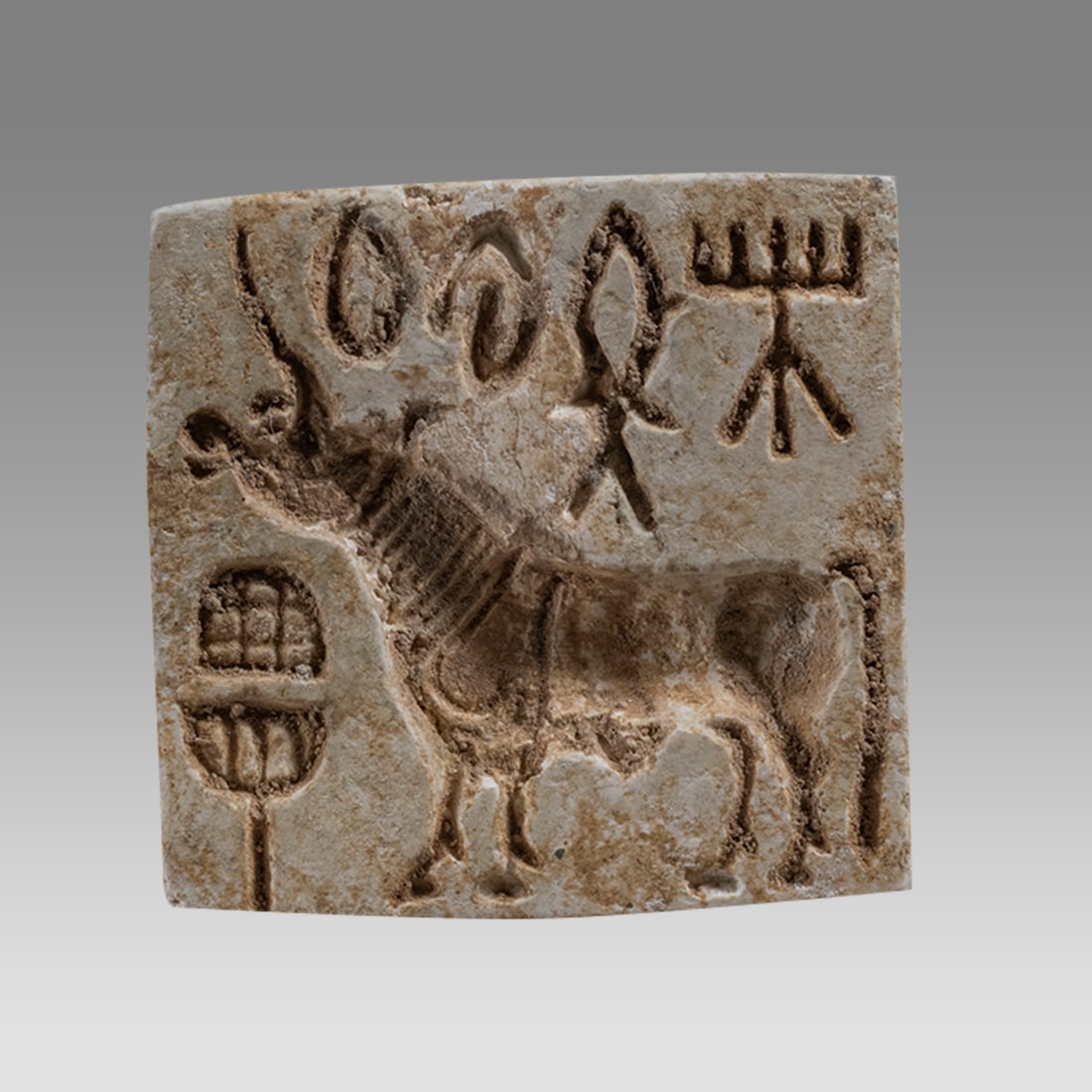 Ancient Indus Valley Stone Stamp Seal. (1 of 2)