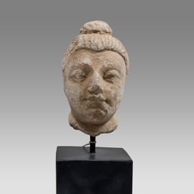 Ancient Gandharan Stucco Head Of Buddha c.2nd century AD.