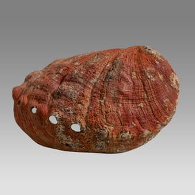 Antique Large Shell.