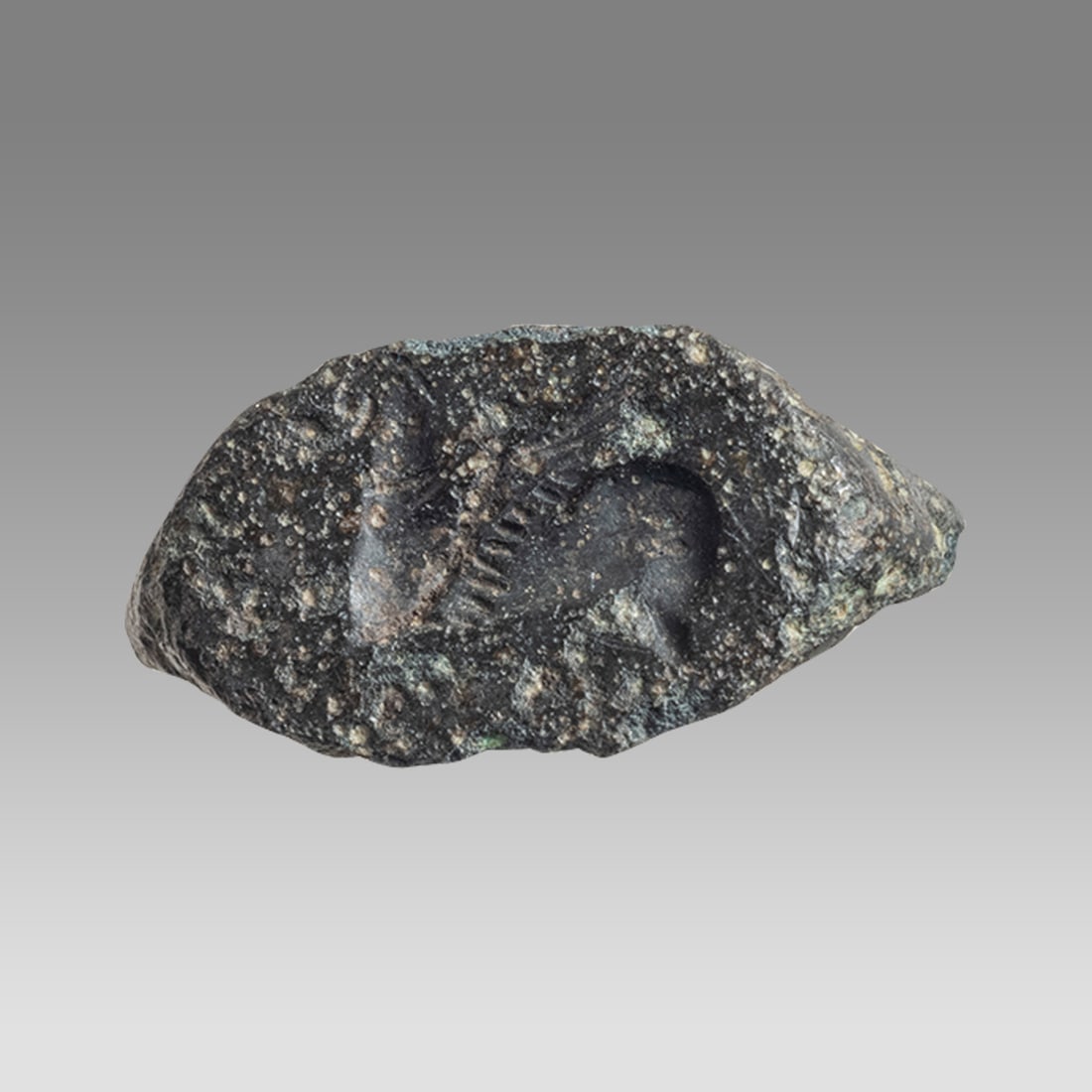 Ancient Greek Bronze Ring Fragment with Pegasos c.3rd cent BC. (1 of 2)