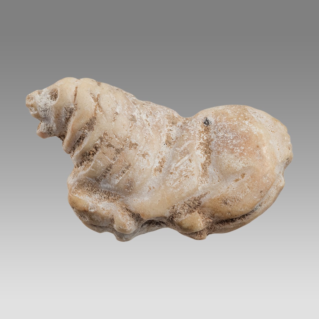 Ancient Mesopotamian Stone lion Amulet c.3000 BC. (1 of 1)