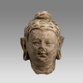 Ancient Gandharan Stucco Head Of Buddha c.2nd century AD.