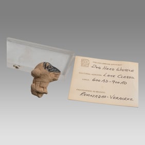 Ancient Pre Columbian Veracruz Pottery Head Of Dog c.600-900 AD.