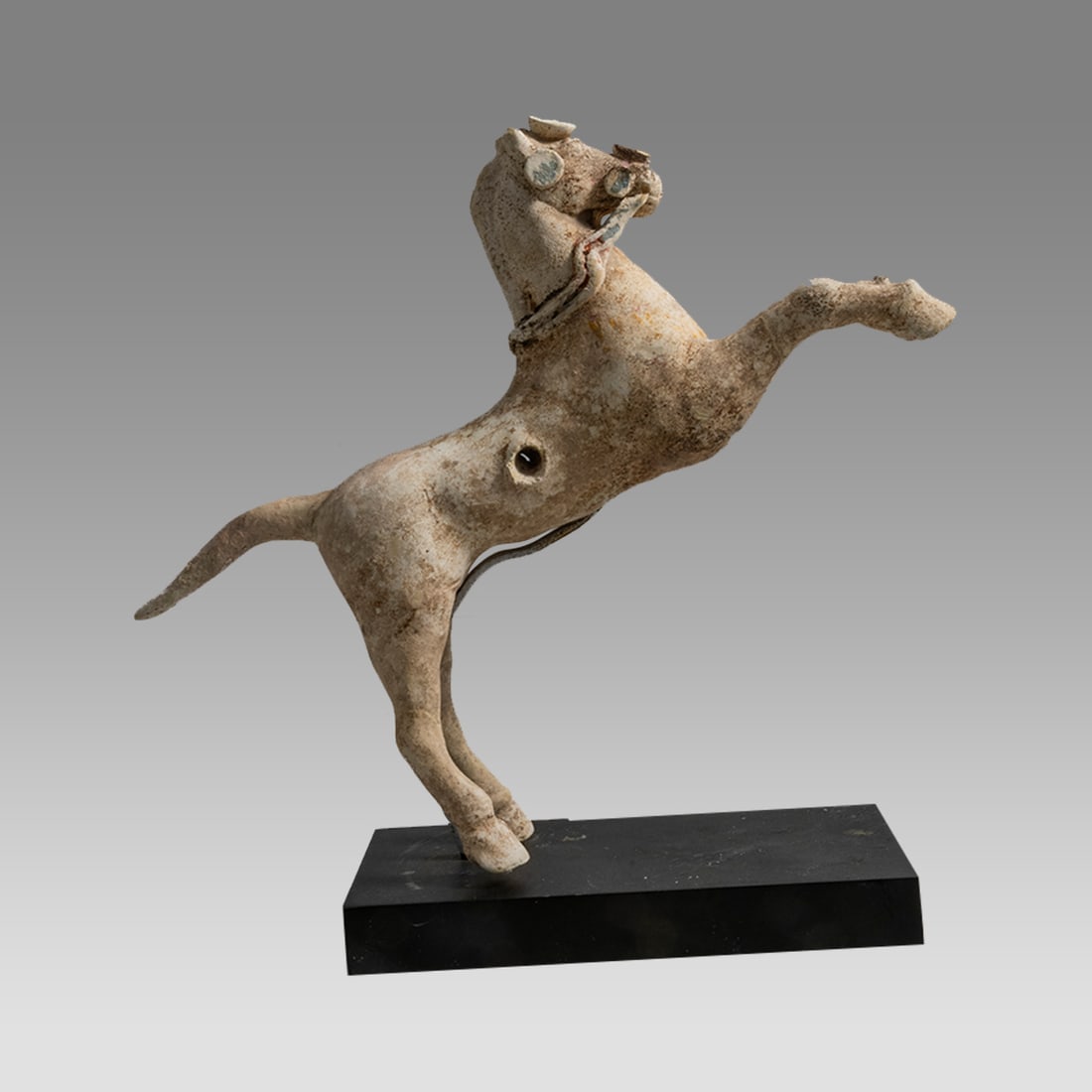 Ancient Greek Canosan Terracotta Horse c.4th century BC. (1 of 4)