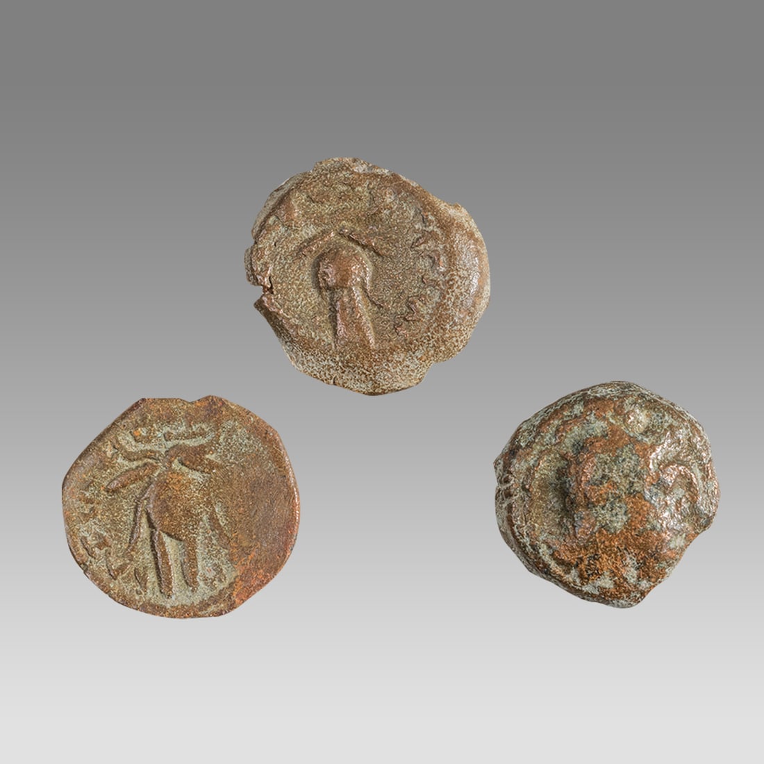 Lot of Three Ancient Ptolemaic Egypt Bronze Coins, Circa 2nd Century BC: A small denomination lot of three matching ancient Ptolemaic Egypt bronze coins, circa 2nd century BC, each featuring the head of Zeus-Ammon facing right on the obverse, the ram-horned deity linked to