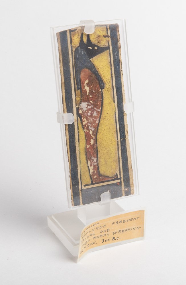 Egyptian Cartonage fragment Jackal god Anubis c.300 BC (1 of 1)