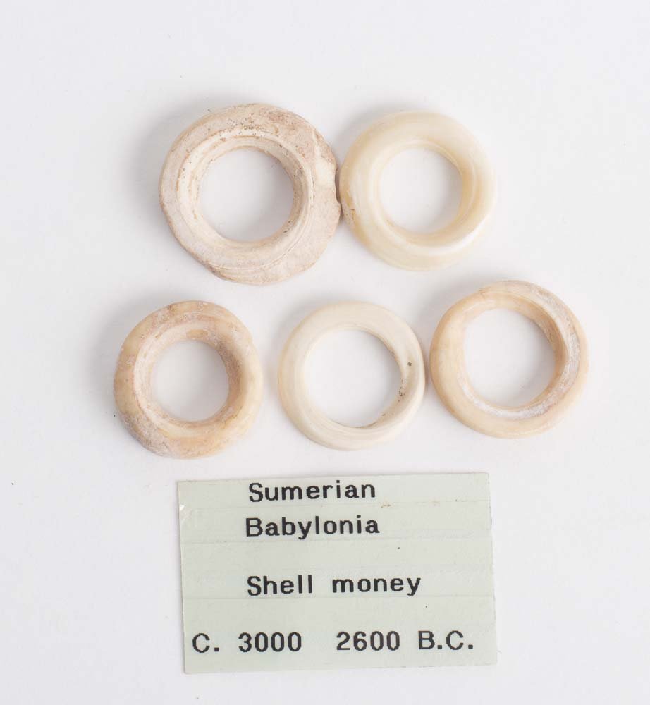 Lot of 5 Ancient Sumerian Shell Money c.3000 BC (1 of 1)