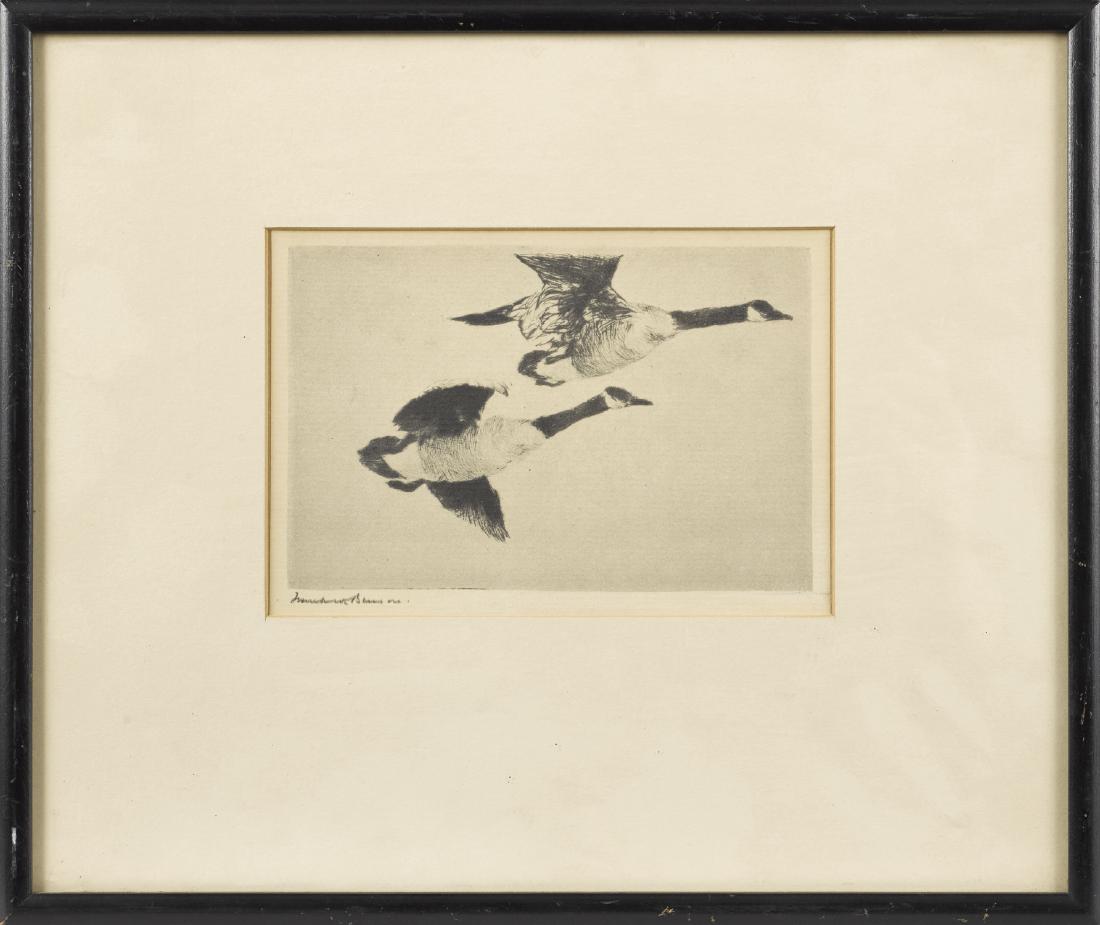 Two Frank Benson restrikes of ducks and geese in: Two Frank Benson restrikes of ducks and geese in flight, 4'' x 6'' and 7'' x 8 3/4''.