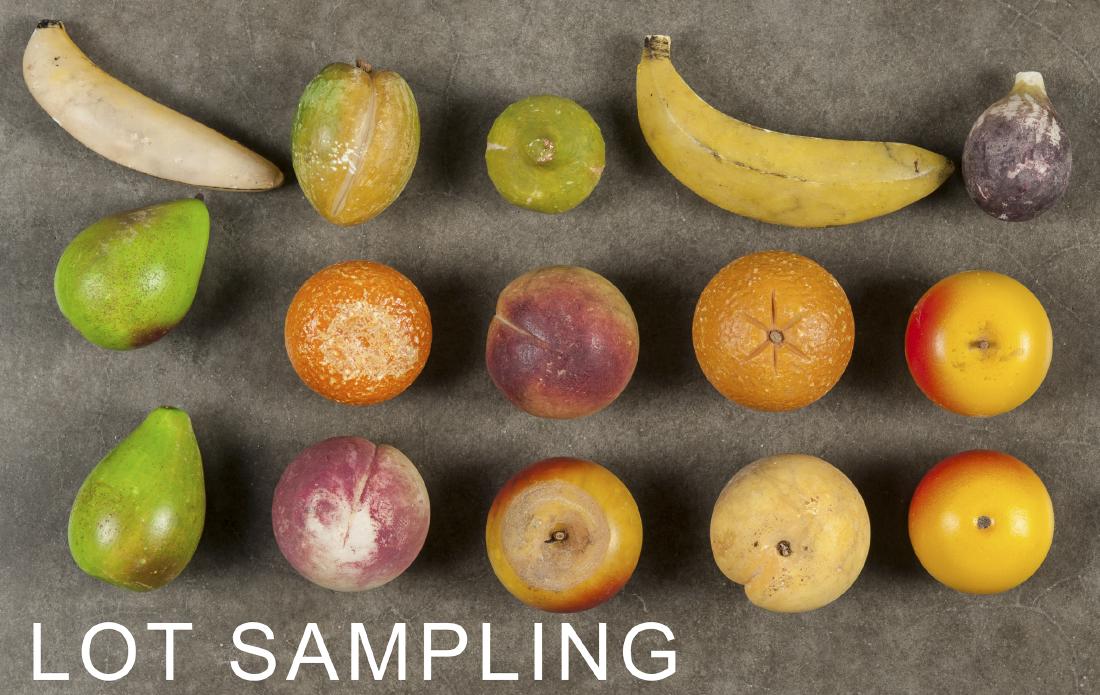 Twenty - seven pieces of carved and painted stone (1 of 1)