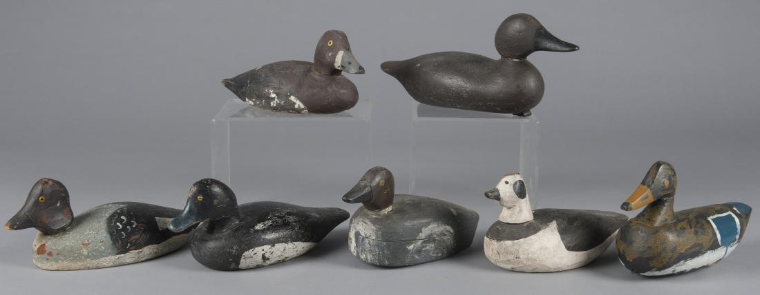 Seven assorted duck decoys. (1 of 1)