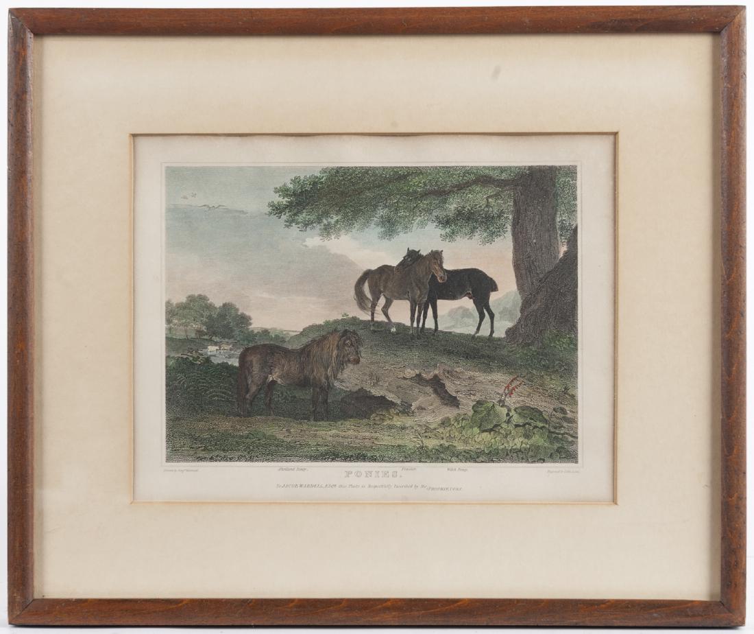 Snaffles, signed and inscribed print of a boar hu (1 of 3)