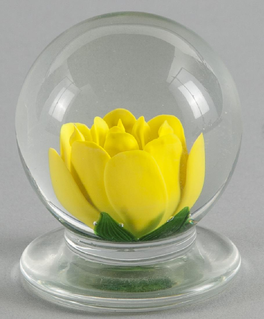 Charles Kaziun Jr., yellow crimp rose footed pape (1 of 2)