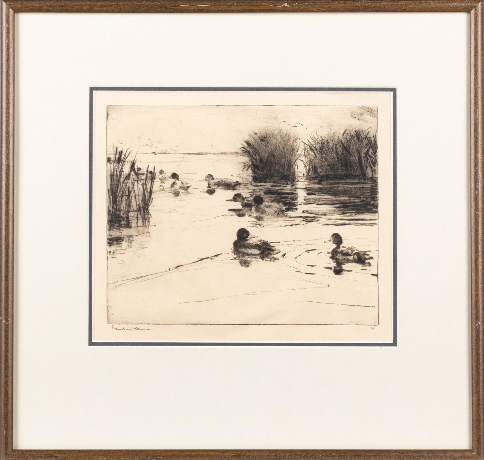 Two Frank Benson signed duck engravings, etc.: Two Frank Benson signed duck engravings, together with a Shore Shooting print.