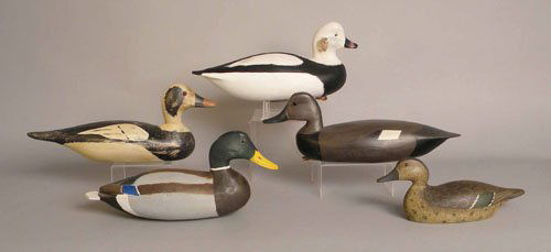 Group of 5 decoys, 20th c. including a green wing: Group of 5 decoys, 20th c. including a green wing teal signed Philip Babe 1981, 12 1/4'' l., a black duck branded R. Dunn, 17 1/4'' l., a mallard branded John Egehe, 15 1/2'' l., an old squaw signed G