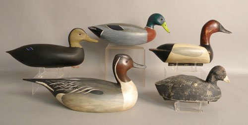 Group of five duck decoys, 20th c., a canvasback,: Group of five duck decoys, 20th c., a canvasback, 16'' l., a black duck by Gene Marshall, 17'' l., a pintail, 20'' l., a mallard, 17 3/4'' l., and a balsa body coot, 12'' l.